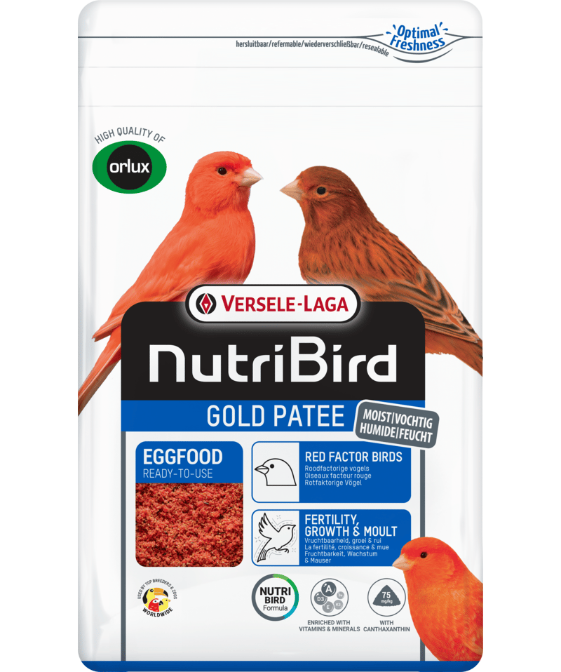 NutriBird Gold Patee Aves de Factor Vermelho | Pasta de Huevo Para Canarios Y Aves Ornamentales Factor Rojo