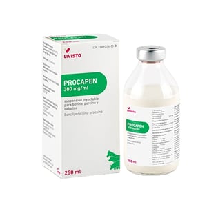 PROCAPEN 300 MG/ML 250 ML