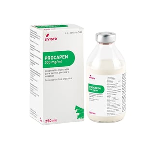 PROCAPEN 300 MG/ML 250ML