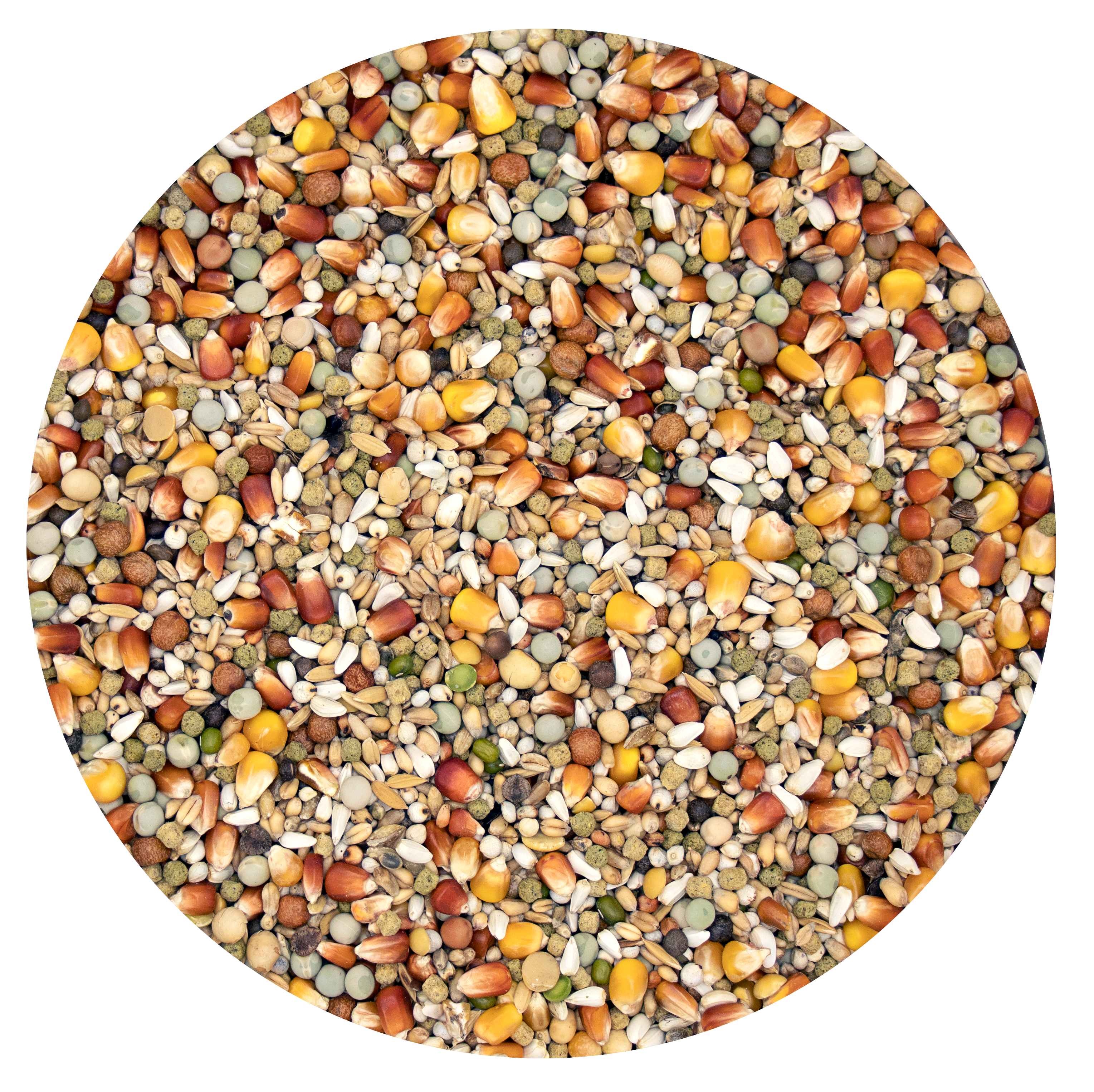 PLUS I.C.+ CHAMPION 20 KG