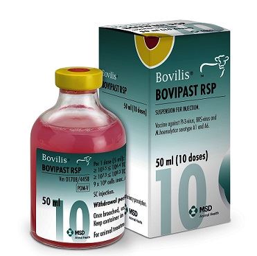 BOVILIS BOVIPAST RSP 50 ML (10 DS)