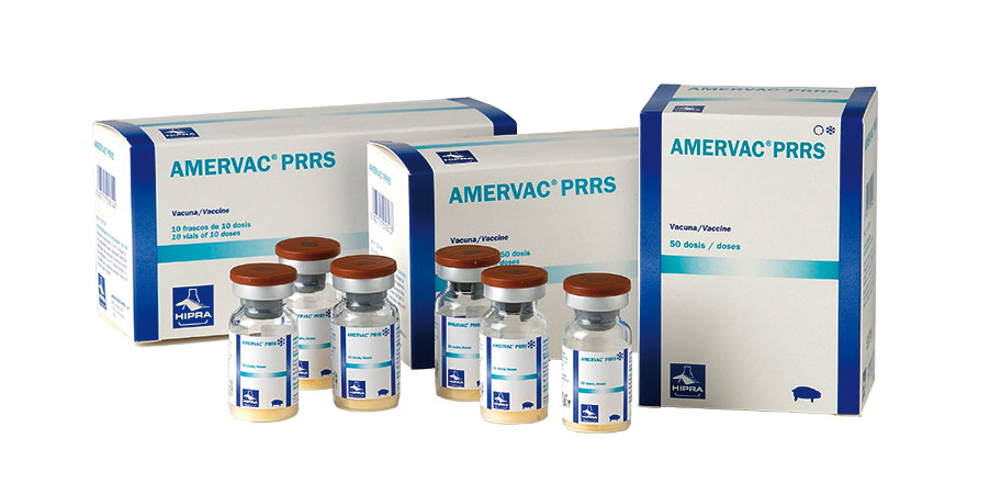 Amervac PRRS 10 ds.
