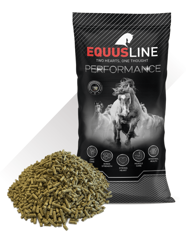 EQUUS LINE OPTIMA GS SACO 25 KG
