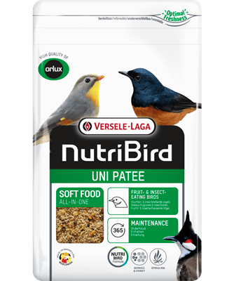 NUTRIBIRD UNI PATEE - PASTA UNIVERSAL 1KG