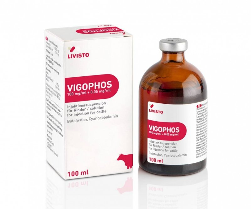 VIGOPHOS 100 ML INY