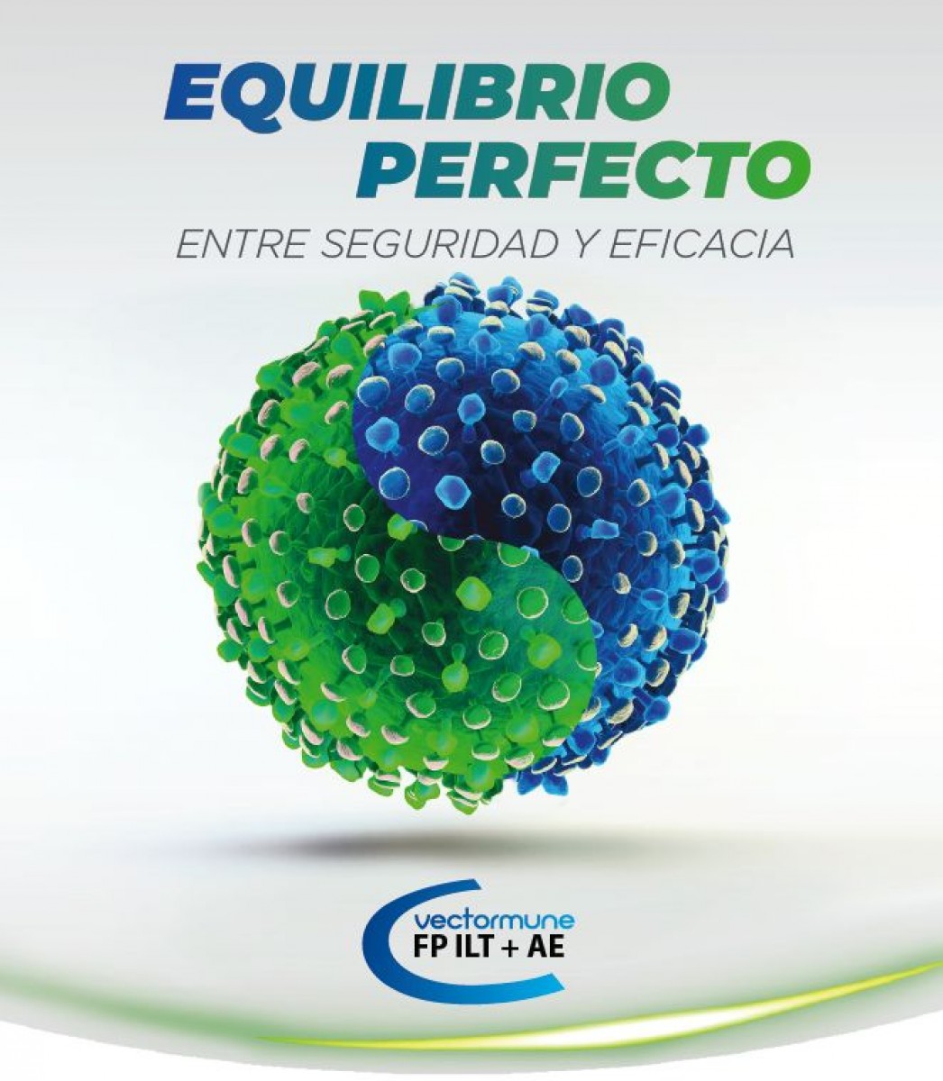 VECTORMUNE FP ILT + AE LIOF. Y DISOLV. SUSP. INY POLLOS 1000 DS