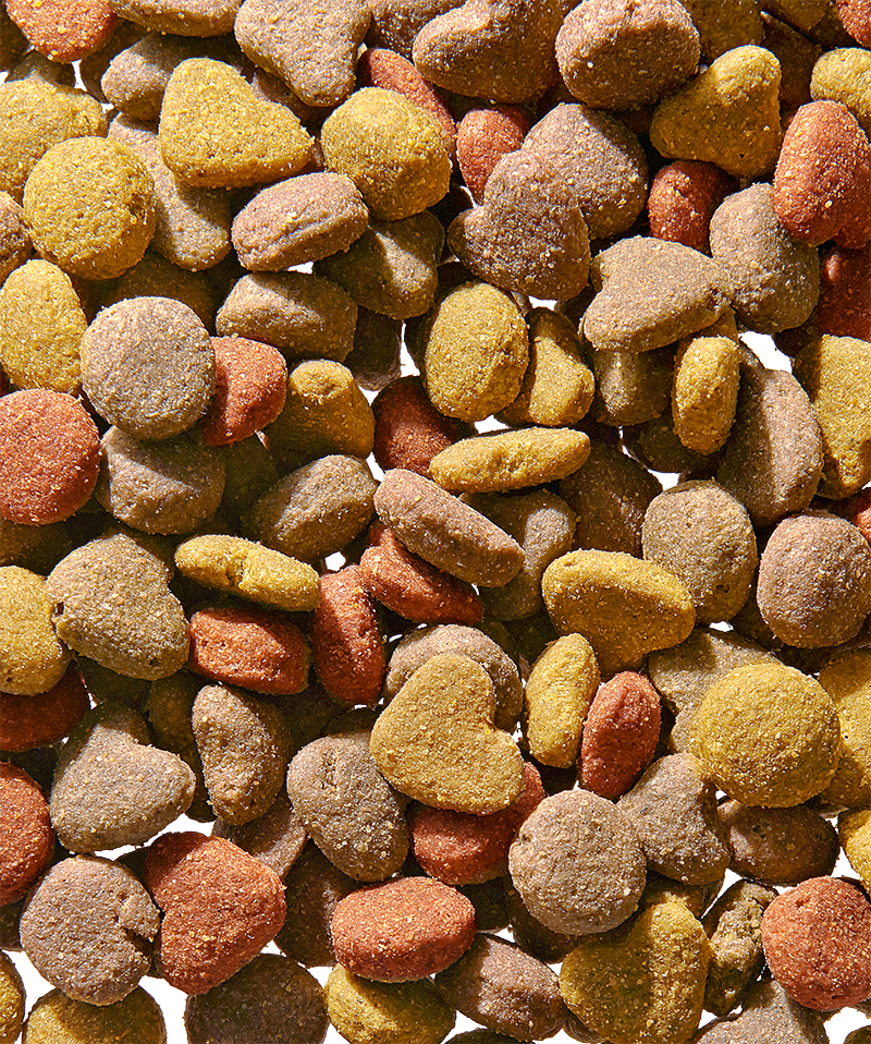 HAPPY LIFE ADULT SALMON 15 KG