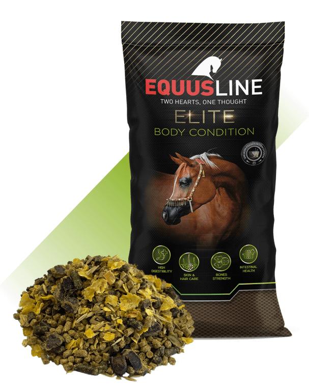 EQUUS LINE BODY CONDITION MIX MS SACO 20 KG