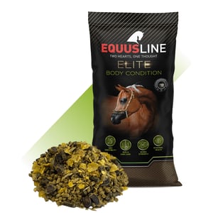 EQUUS LINE BODY CONDITION MIX MS SACO 20 KG