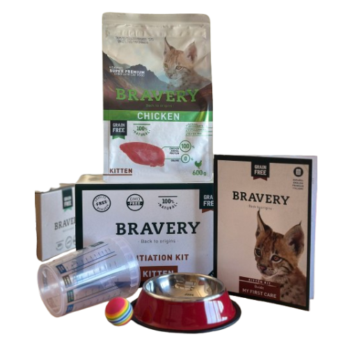 KIT INICIACION BRAVERY KITTEN