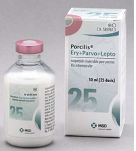 PORCILIS ERY+PARVO+LEPTO 50 ML (25 DS)