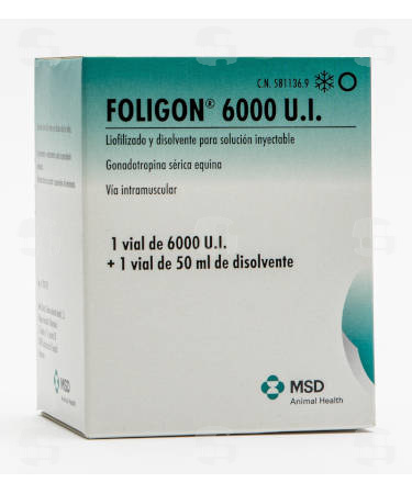 FOLIGON 1 VIAL x 6.000 U.I.