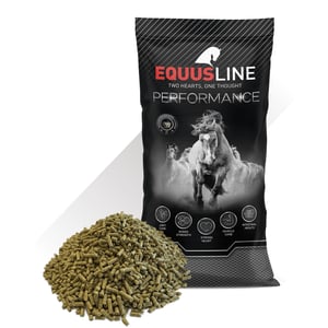 EQUUS LINE SUPER GS SACO 25 KG