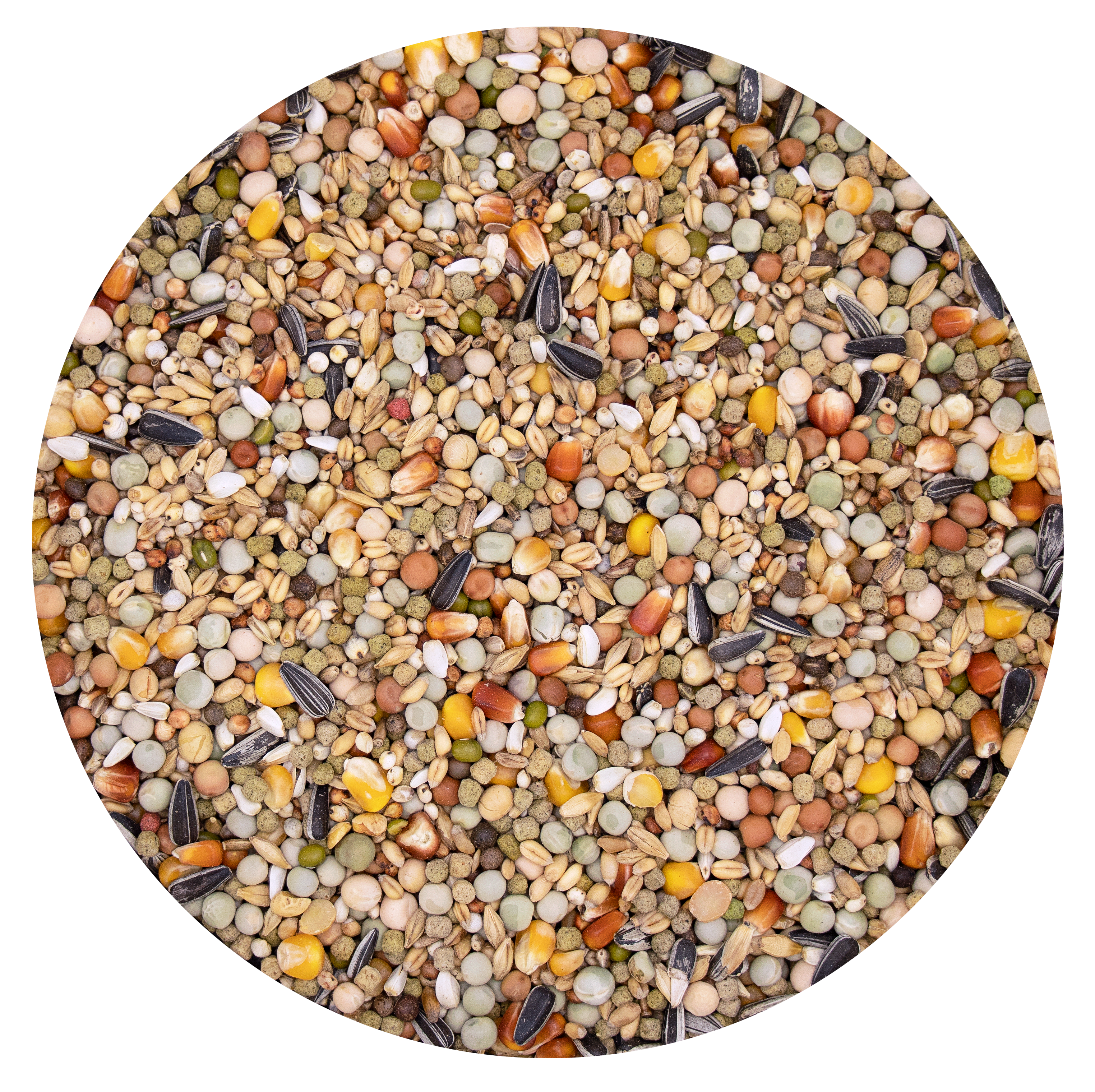 PLUS I.C.+ MUTINE 20 KG