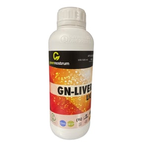 GN-LIVER LIQUID 1 L