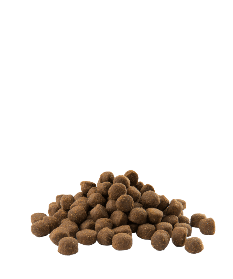 Opti Life | Pienso para Perros Adultos Activos con Pollo y Arroz | 12,5 kg