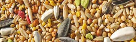 JARAD AGAPORNIS STANDARD 25 KG – Mixtura Completa para Agapornis y Ninfas