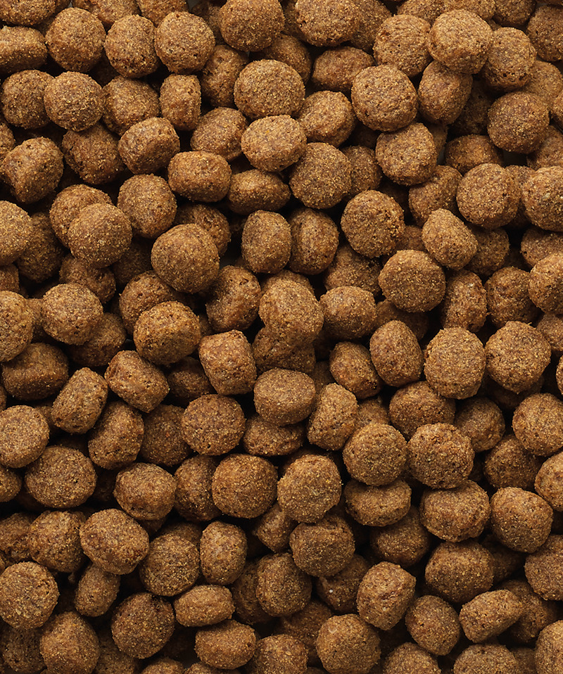 CLASSIC CACHORRO 10 KG