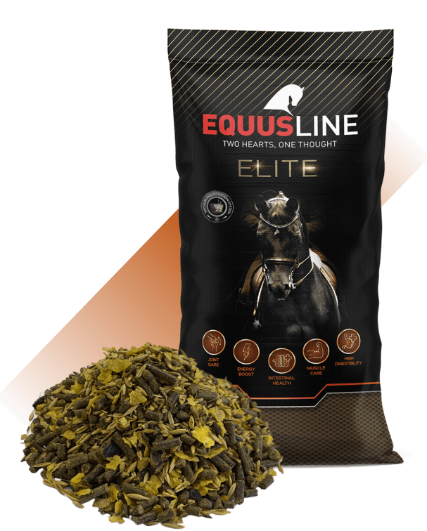 EQUUS LINE SPORT HIGH ENERGY MIX-DEP ALTA EN MIX MS SACO 20 KG