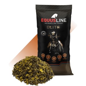 EQUUS LINE SPORT HIGH ENERGY MIX-DEP ALTA EN MIX MS SACO 20 KG