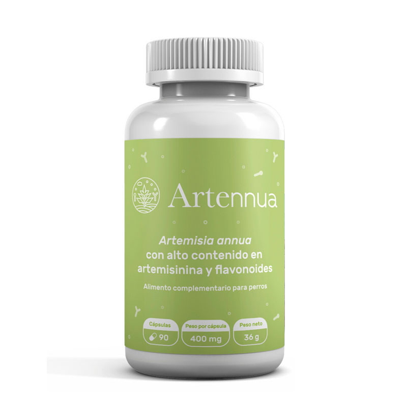ARTENNUA 90 CAPSULAS