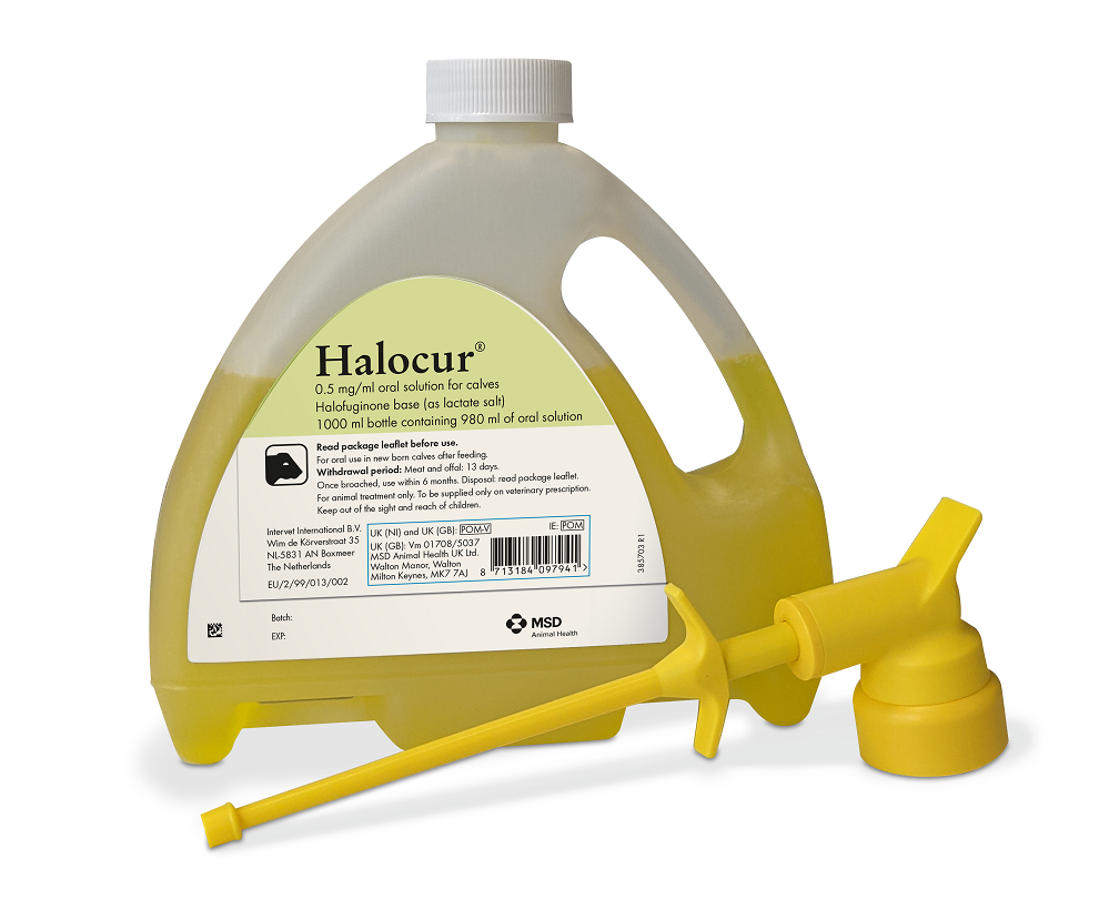 HALOCUR 980 ml