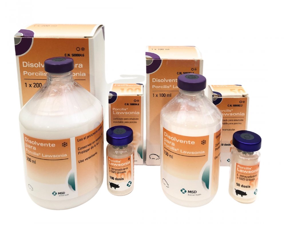 PORCILIS LAWSONIA IDAL 50 DS