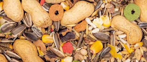 Jarad Active Alimento Para Hamster  800 G 800 Gr