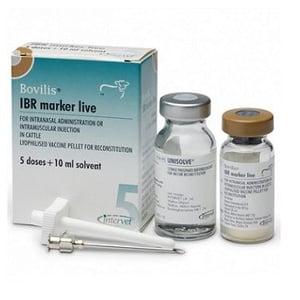 BOVILIS IBR MARKER VIVA 10 ML (5 DS)