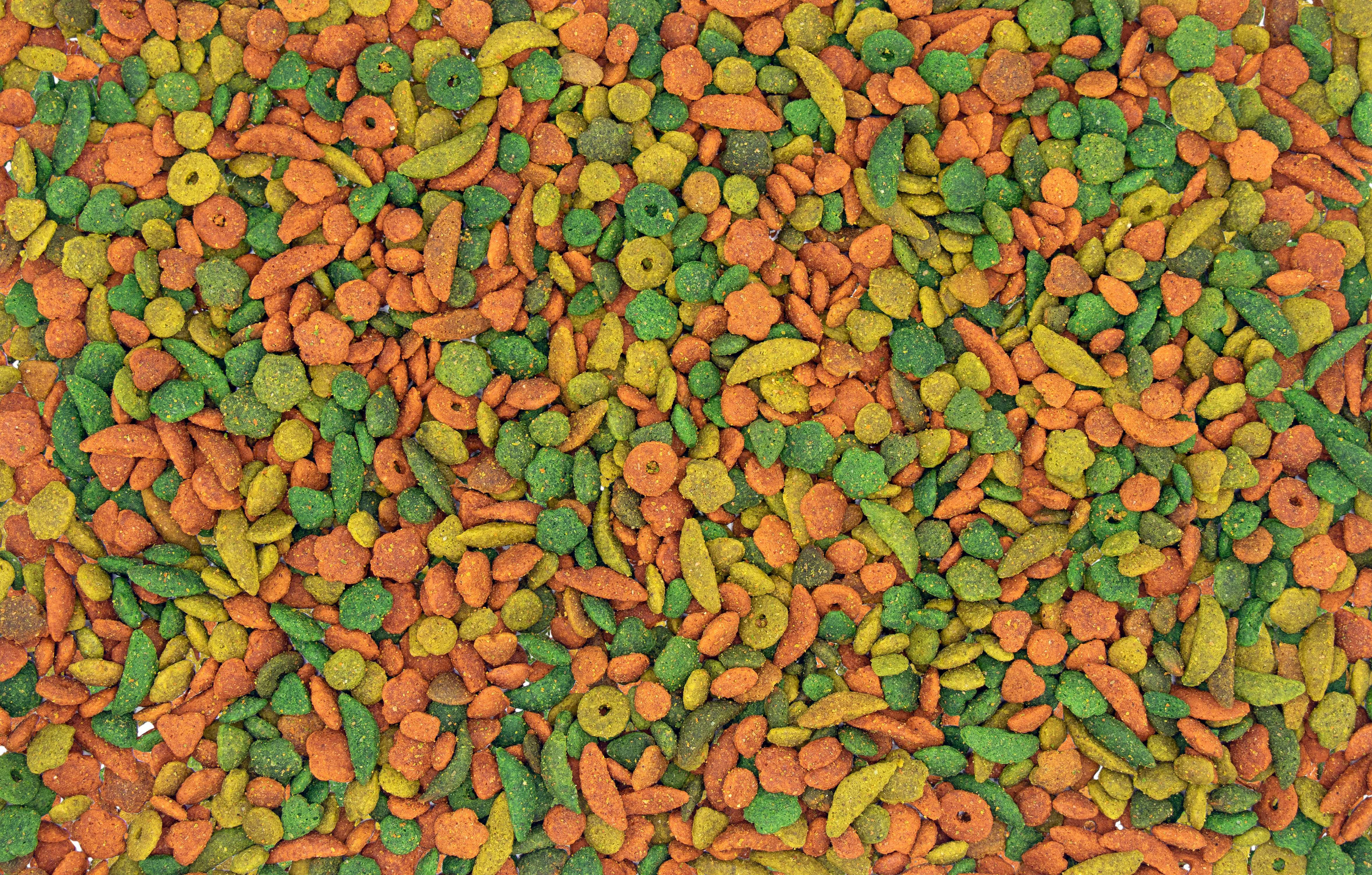 Nutribird P19 Tropical Alimento De Cría Para Loros  10 Kg