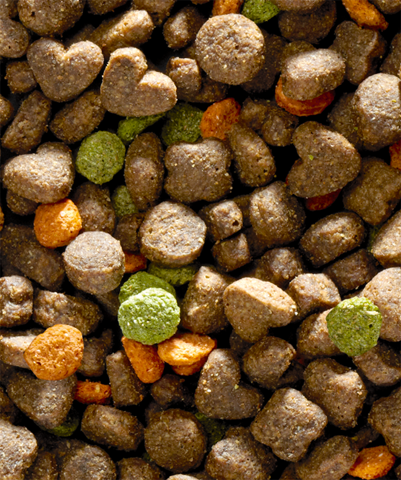 HAPPY LIFE ADULT MINI CORDERO 3 KG