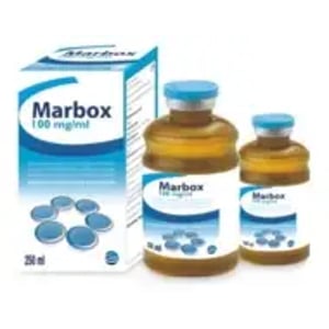 MARBOX 10% 250 ML