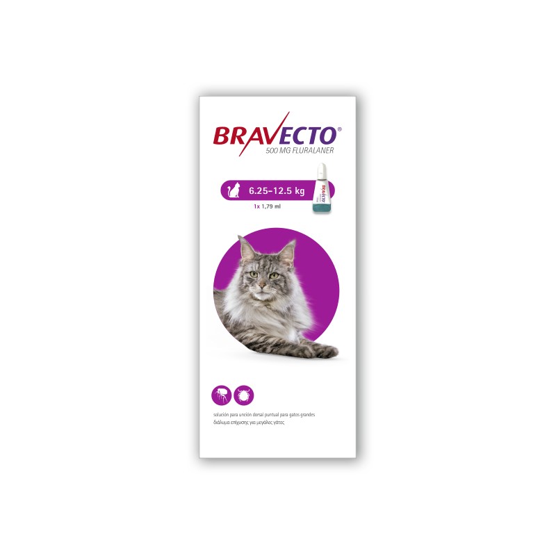 BRAVECTO SPOT ON GATOS 500MG 1X1DS 6,25 - 12,5 KG