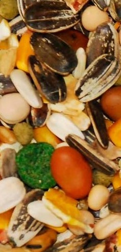 Jarad Active Alimento Para Loros Y Cotorras 600 Gr 