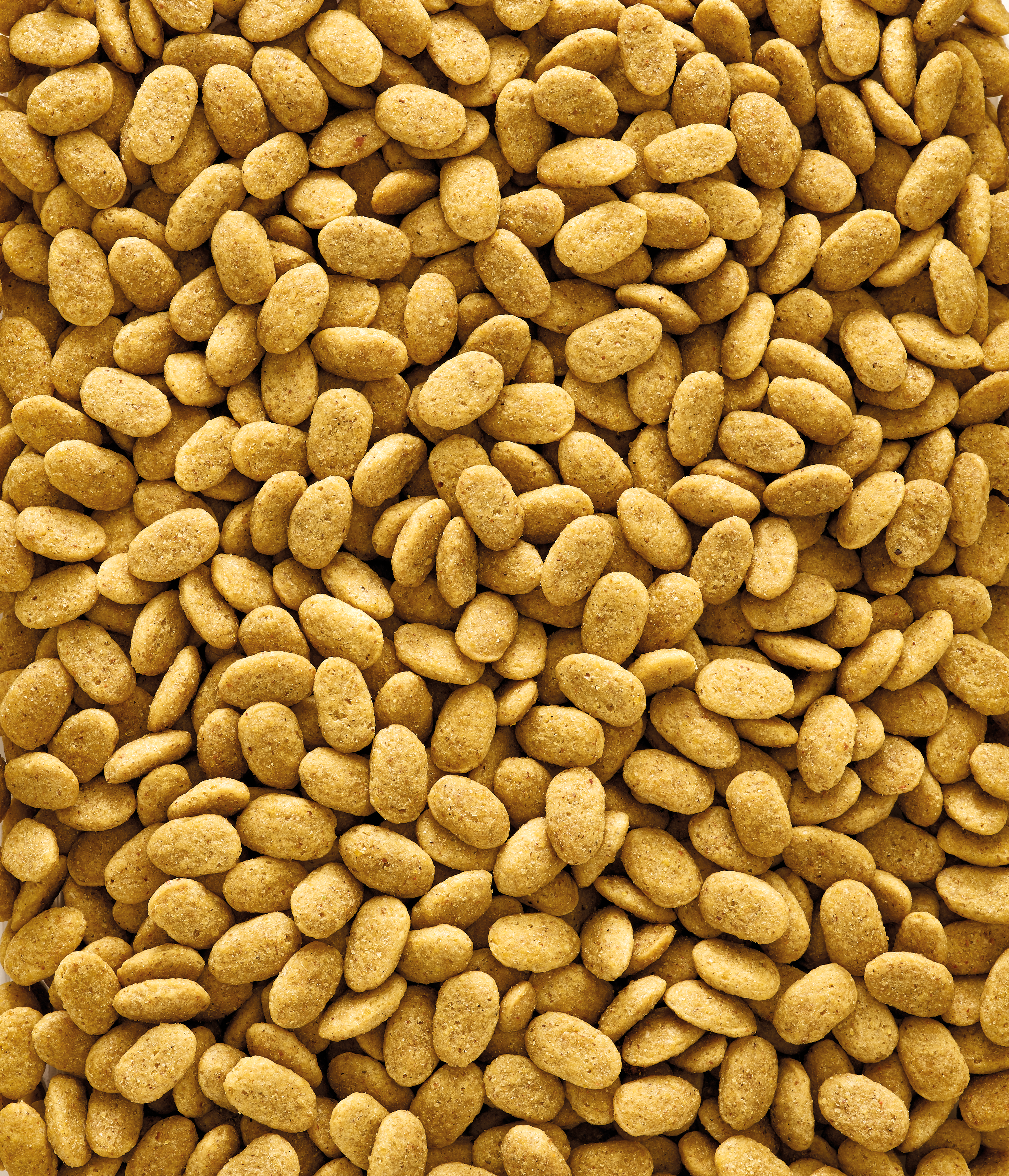 Nutribird P15 Original Alimento Para Loros 1 Kg