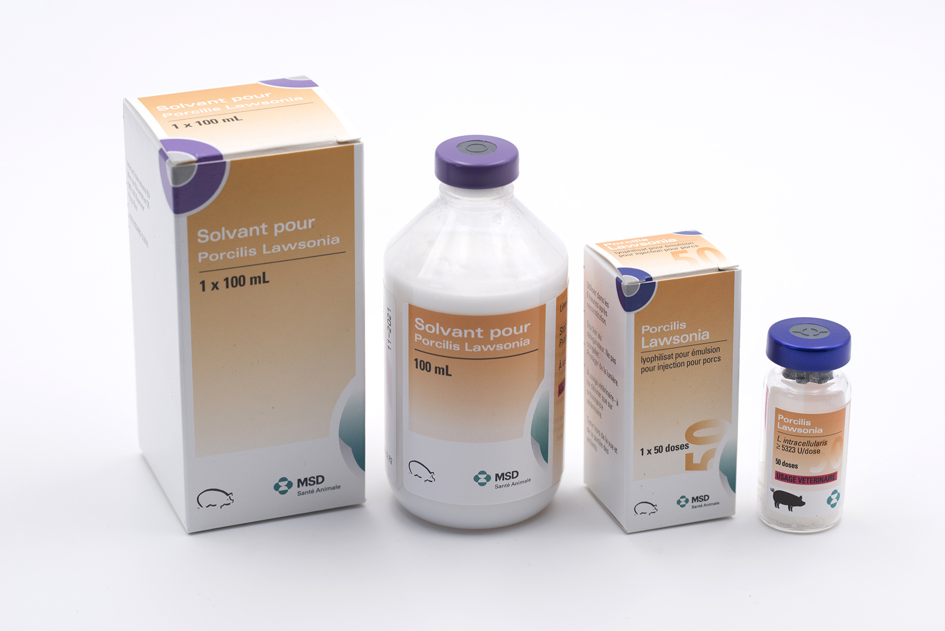 PORCILIS LAWSONIA INY 50 DS