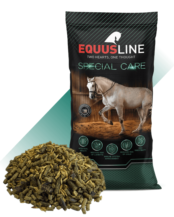 EQUUS LINE RECOVERY MASH MIX MS SACO 20 KG