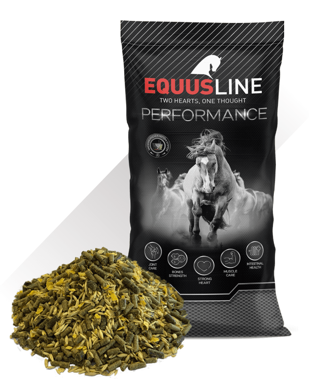EQUUS LINE SPORT MIX MS SACO 25 KG