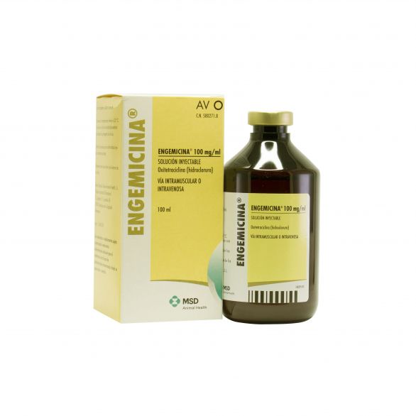 ENGEMICINA 100 ML