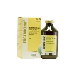 ENGEMICINA 100 ML.