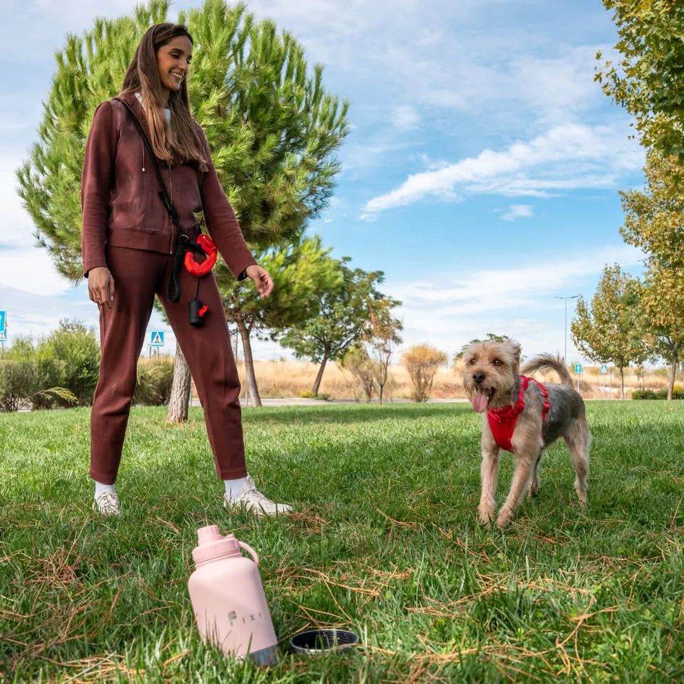 Correa Perro Premium FIXY Antitirones | Control Total y Seguridad | 1,5 m