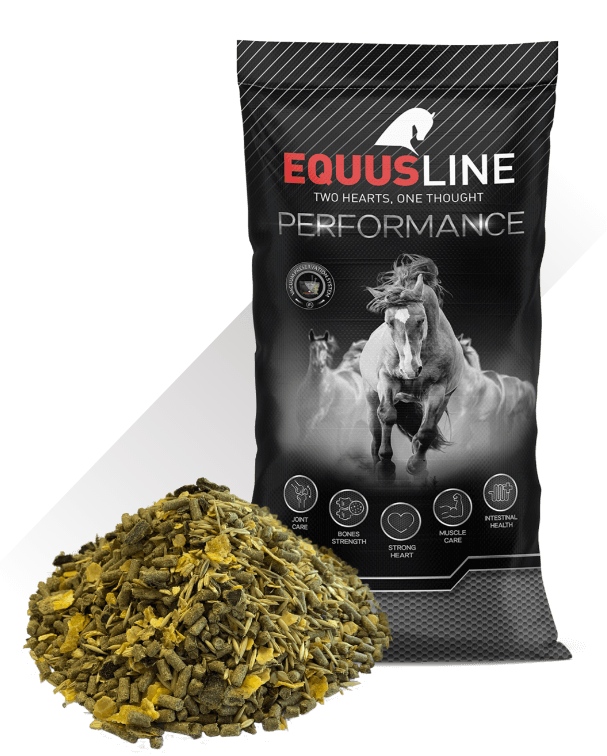 EQUUS LINE SUPER MIX 5 MS SACO 25 KG