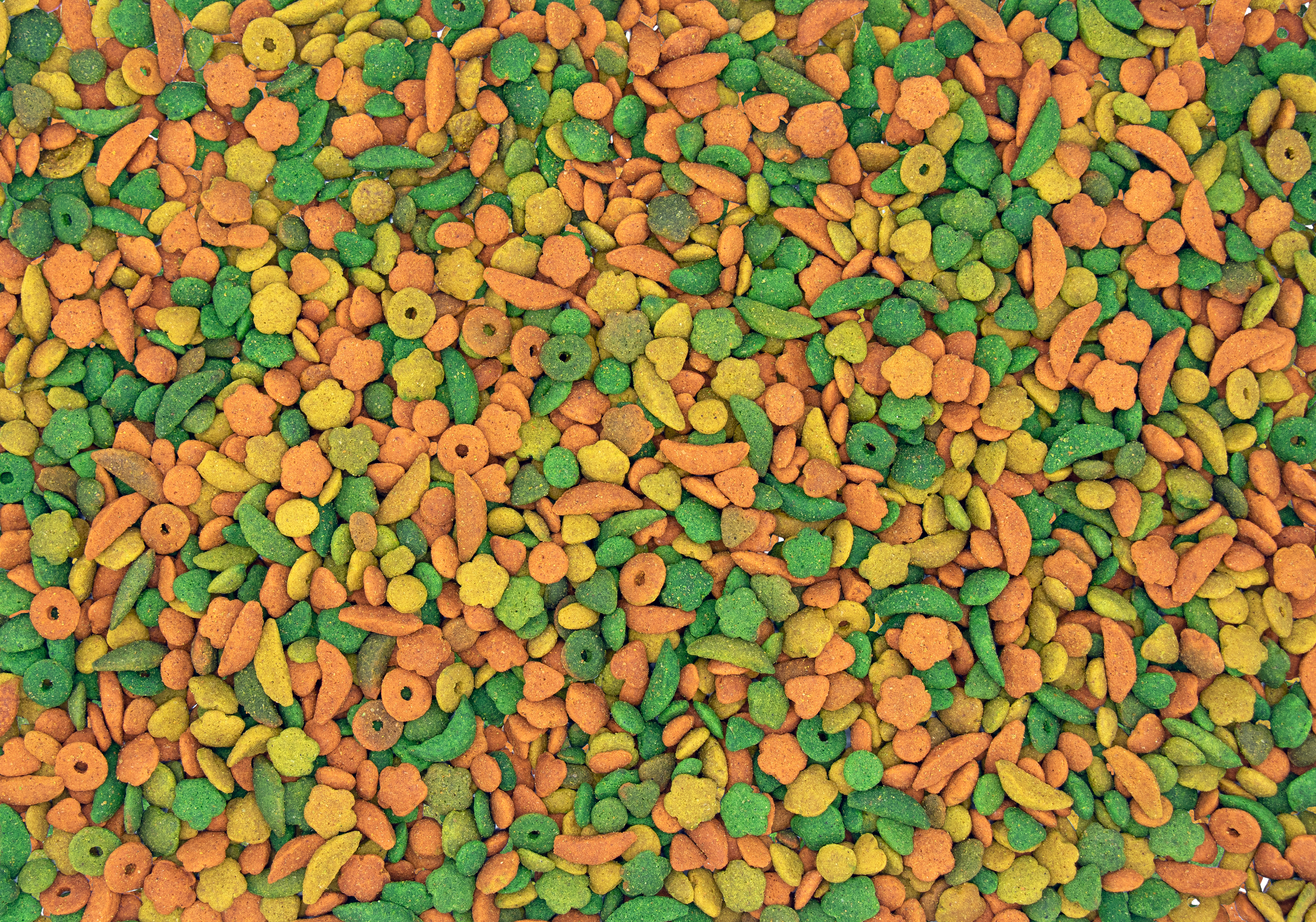 Nutribird P15 Tropical Alimento Para Loros 1 Kg