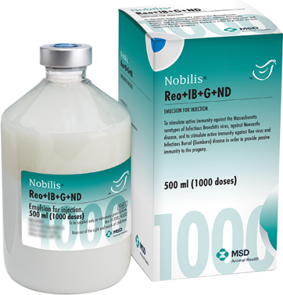 NOBILIS REO+IB+G+ND 1X1000 DS / 500 ML (*)