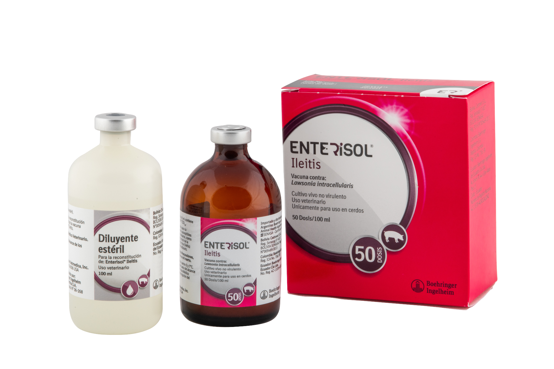 ENTERISOL ILEITIS 50 DS