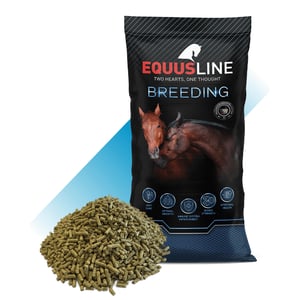 EQUUS LINE COLTS & MARES-YEGUAS Y POTROS GS SACO 20 KG