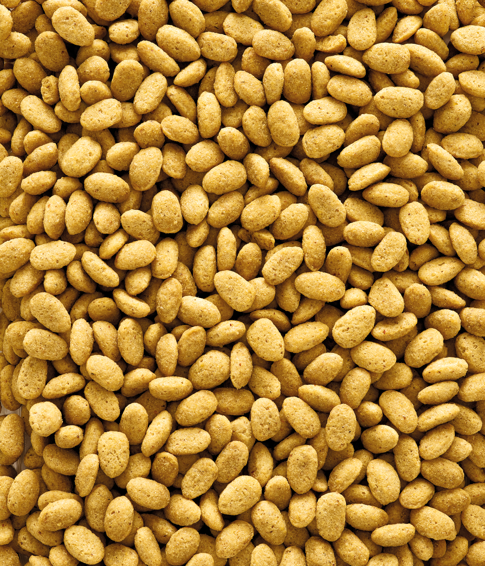 Nutribird P19 Original Alimento De Cría Para Loros  10 Kg