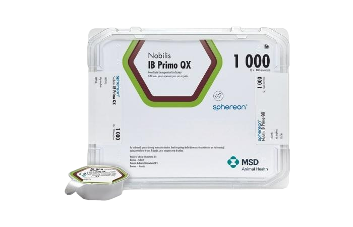 NOBILIS IB 4-91 SPH 12x1000 DS