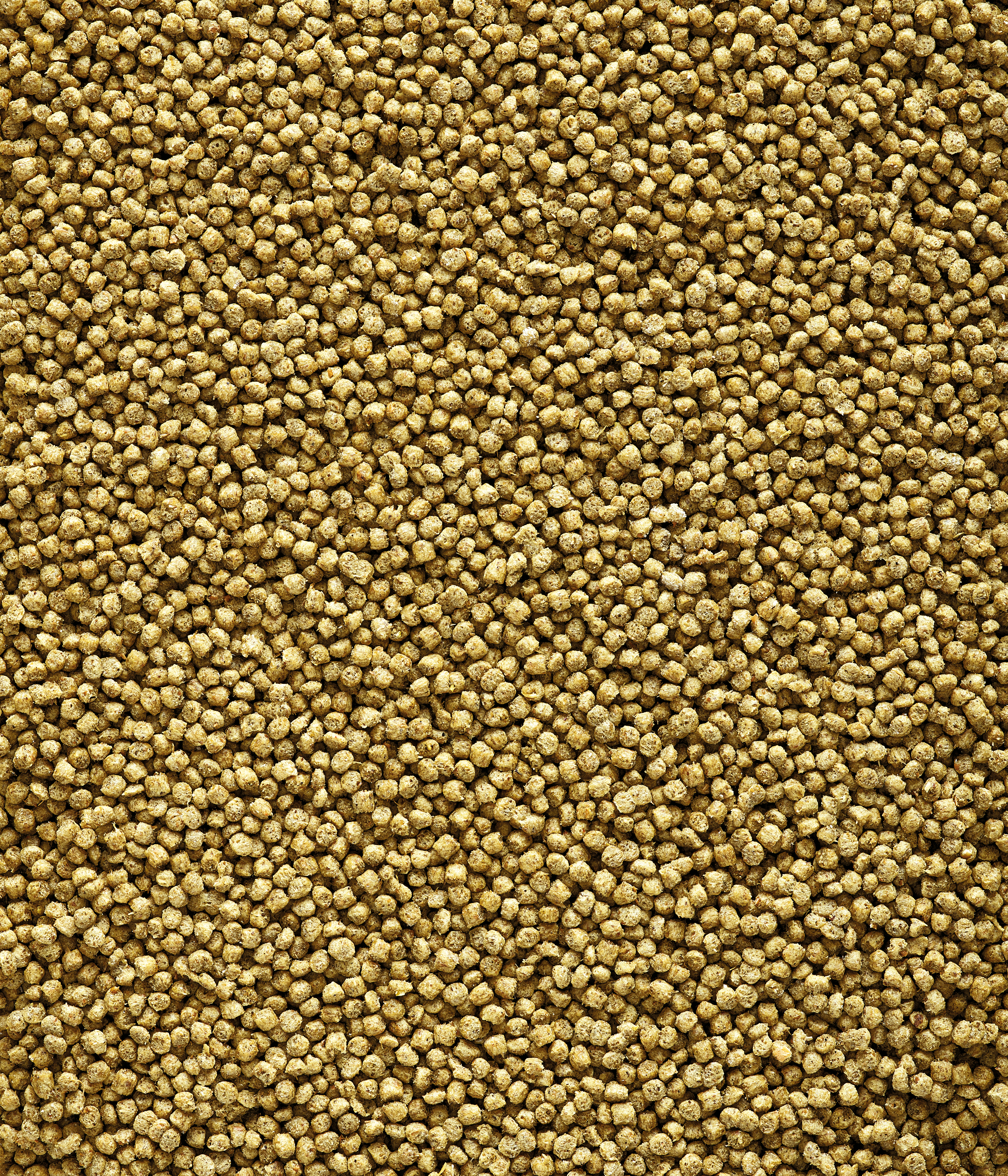 Nutribird C19 Original Alimento Para La Cría De Canarios, Pinzones Tropicales, Europeos Y Demas Aves Similares 3 Kg