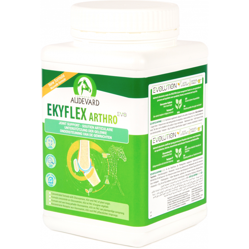 EKYFLEX ARTHRO EVO 900 GR AUDEVARD